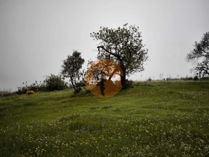Terreno para Venda em Castro Marim Foto 25
