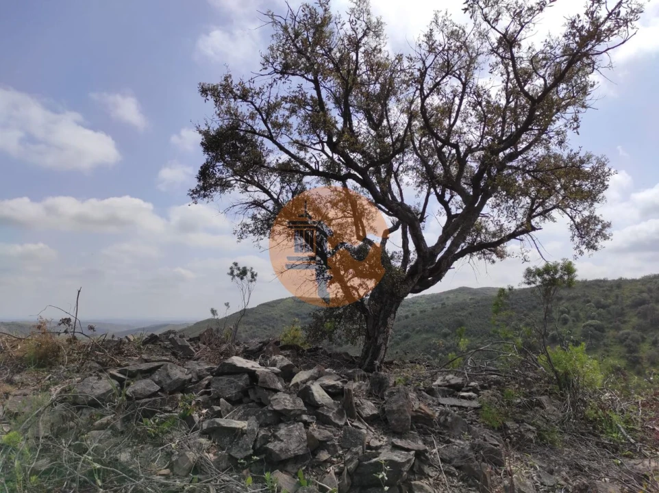Terreno para Venda em Azinhal Foto 1