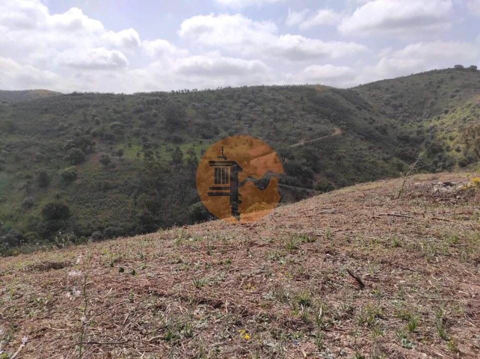 Terreno para Venda em Azinhal Foto 3