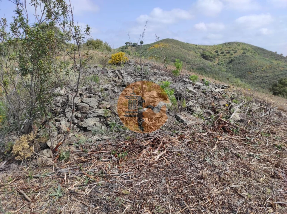 Terreno para Venda em Azinhal Foto 8