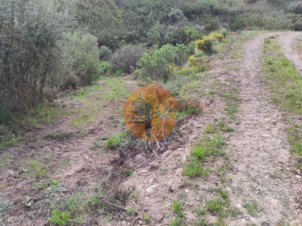 Terreno para Venda em Azinhal Foto 16