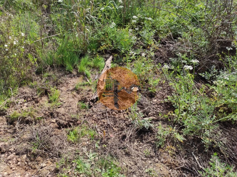 Terreno para Venda em Azinhal Foto 20
