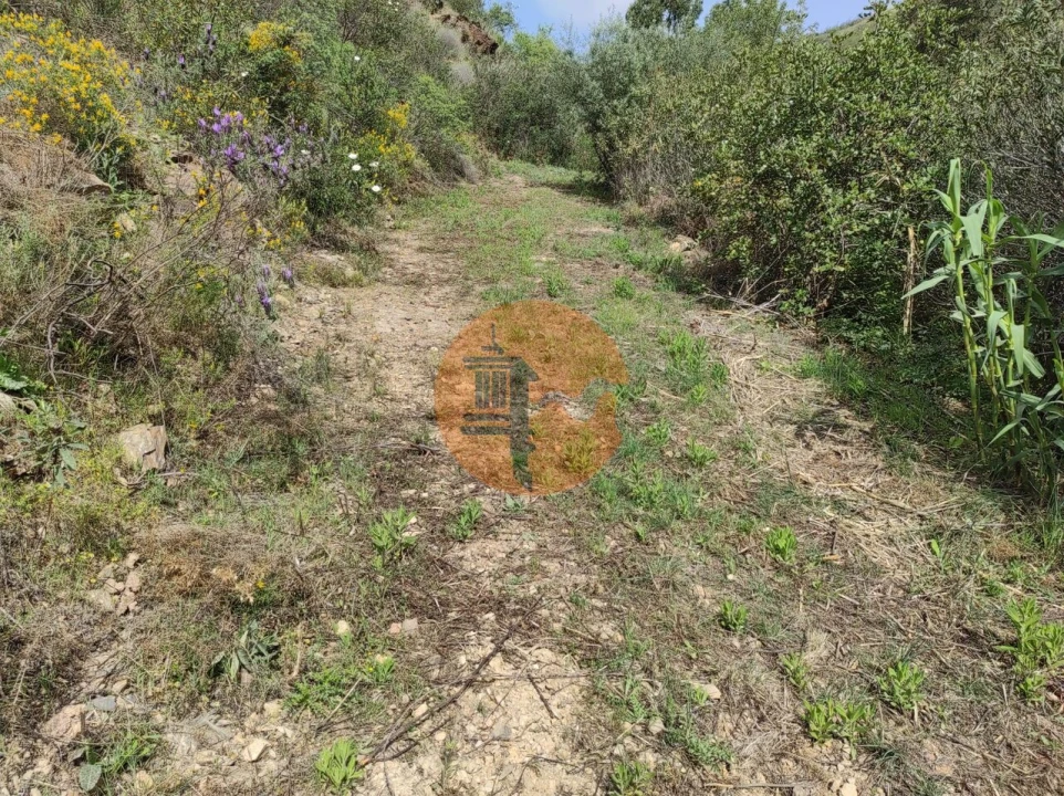 Terreno para Venda em Azinhal Foto 21
