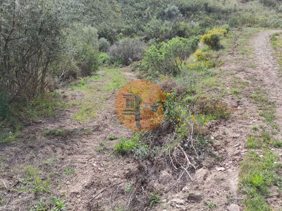 Terreno para Venda em Azinhal Foto 22