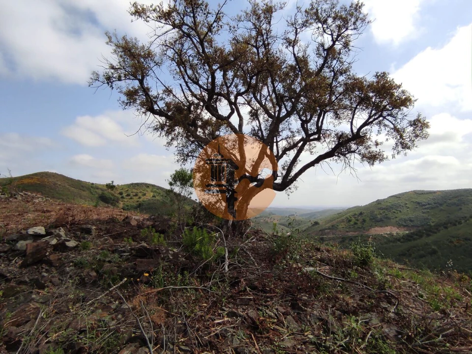 Terreno para Venda em Azinhal Foto 29