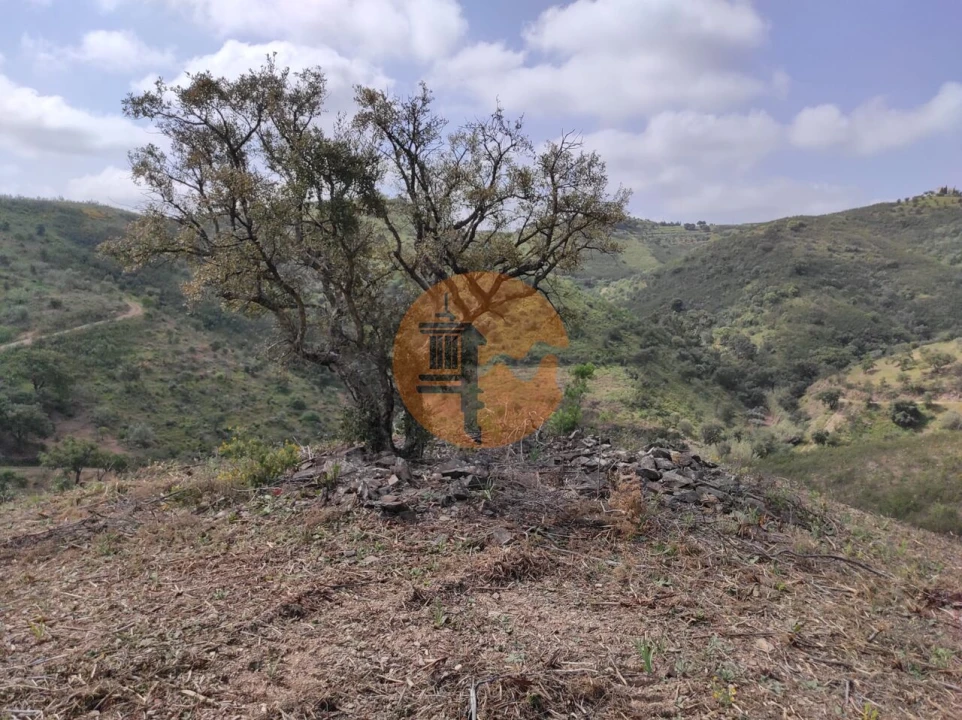 Terreno para Venda em Azinhal Foto 31