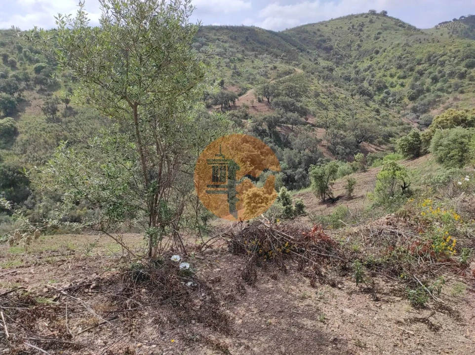 Terreno para Venda em Azinhal Foto 34