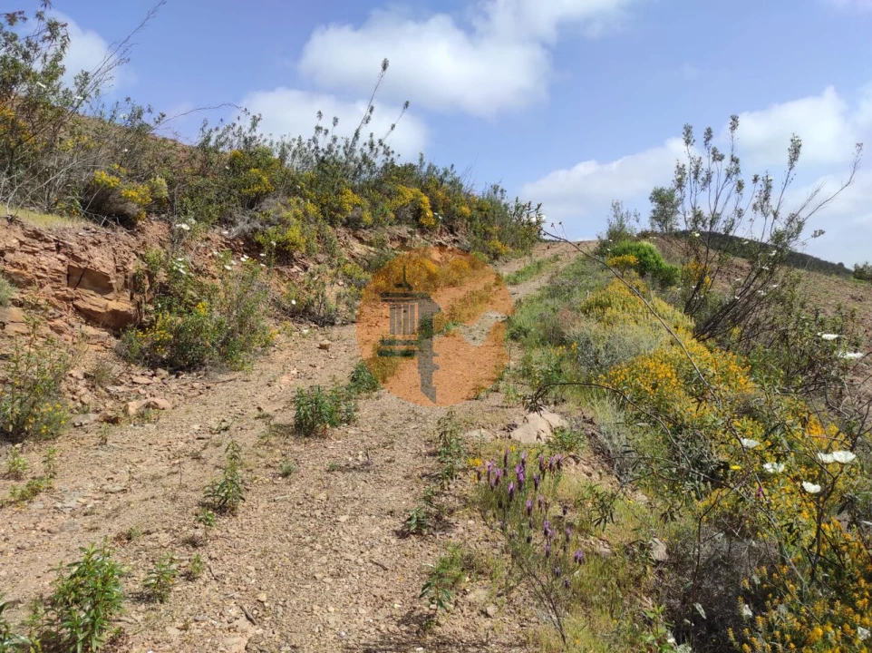 Terreno para Venda em Azinhal Foto 35