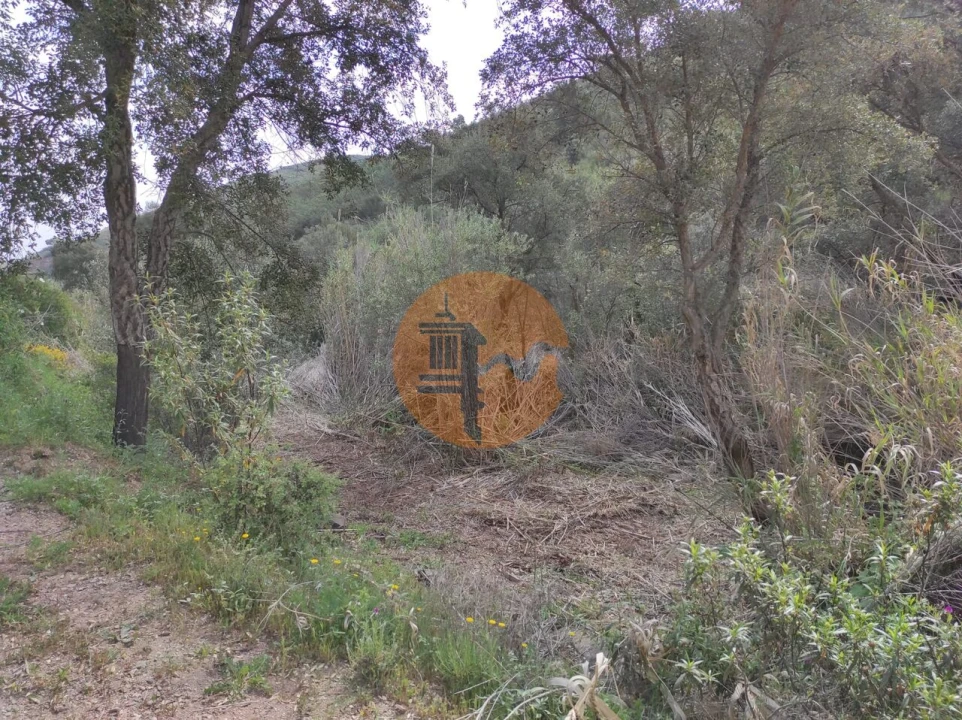 Terreno para Venda em Azinhal Foto 38