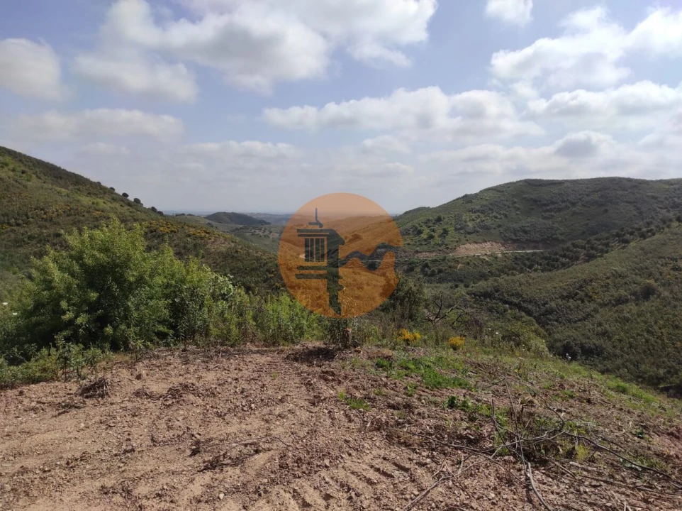 Terreno para Venda em Azinhal Foto 39