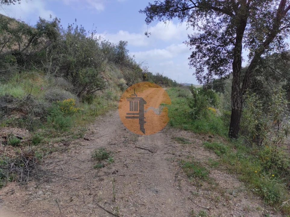 Terreno para Venda em Azinhal Foto 41