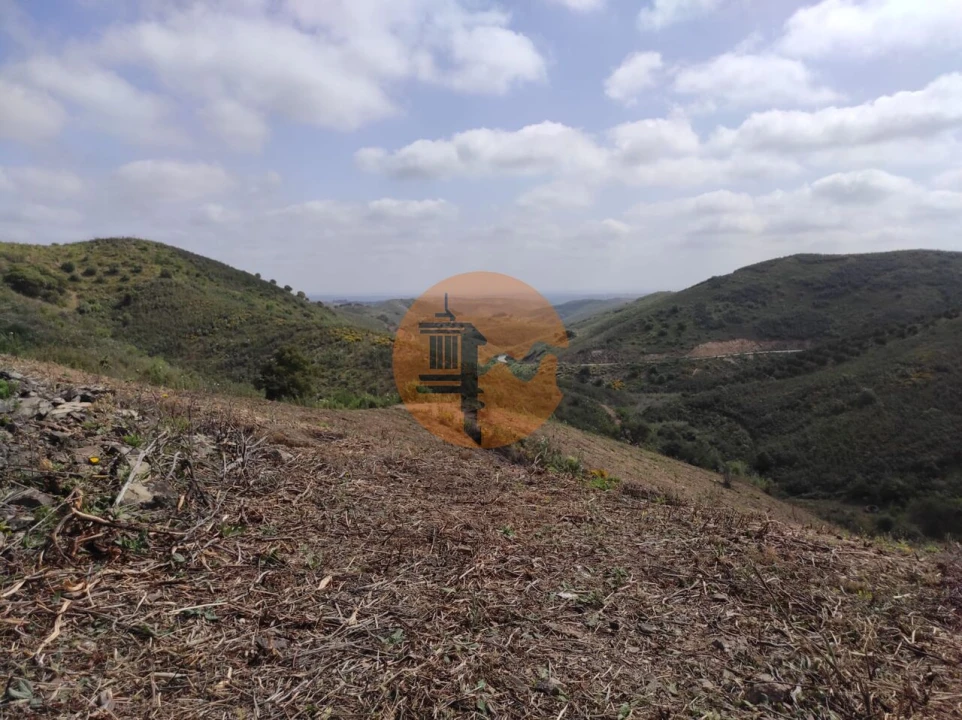 Terreno para Venda em Azinhal Foto 46