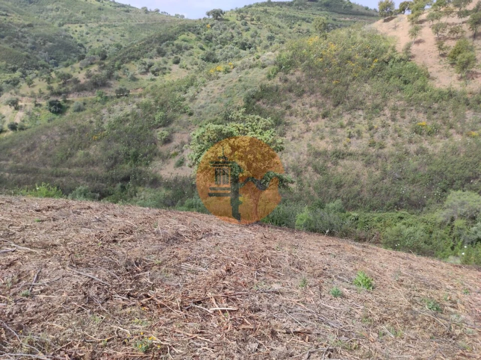 Terreno para Venda em Azinhal Foto 47