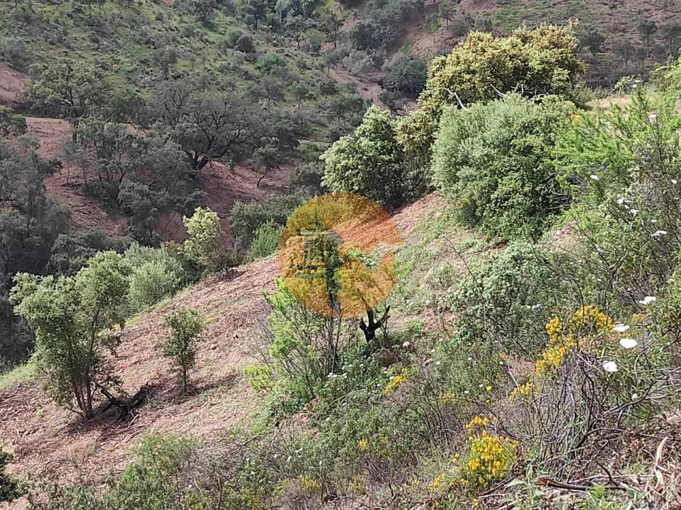 Terreno para Venda em Azinhal Foto 52
