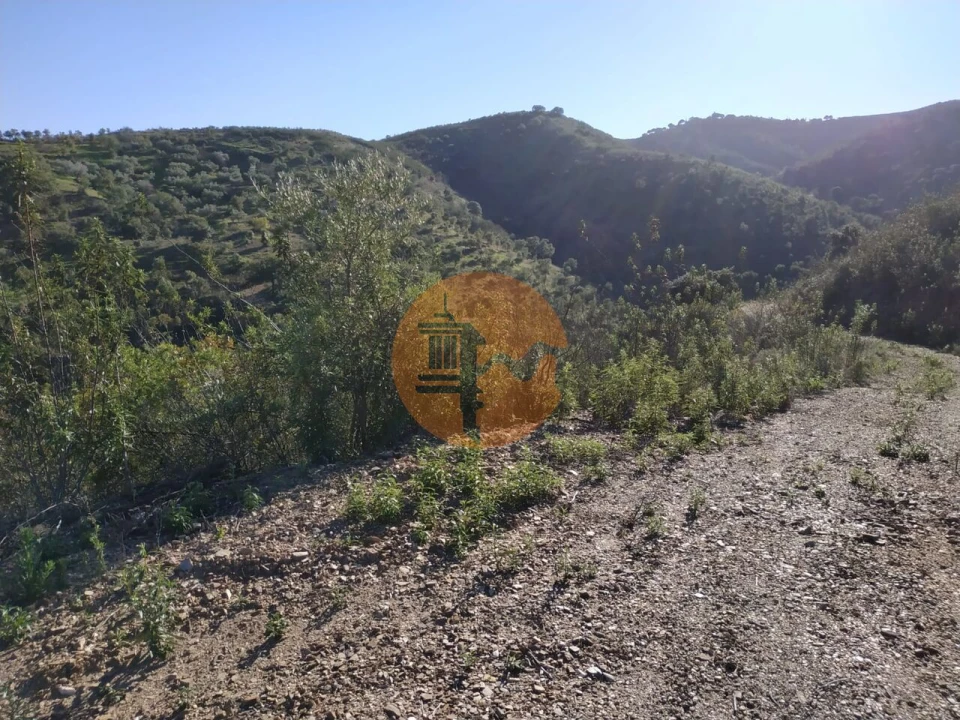 Terreno para Venda em Azinhal Foto 57