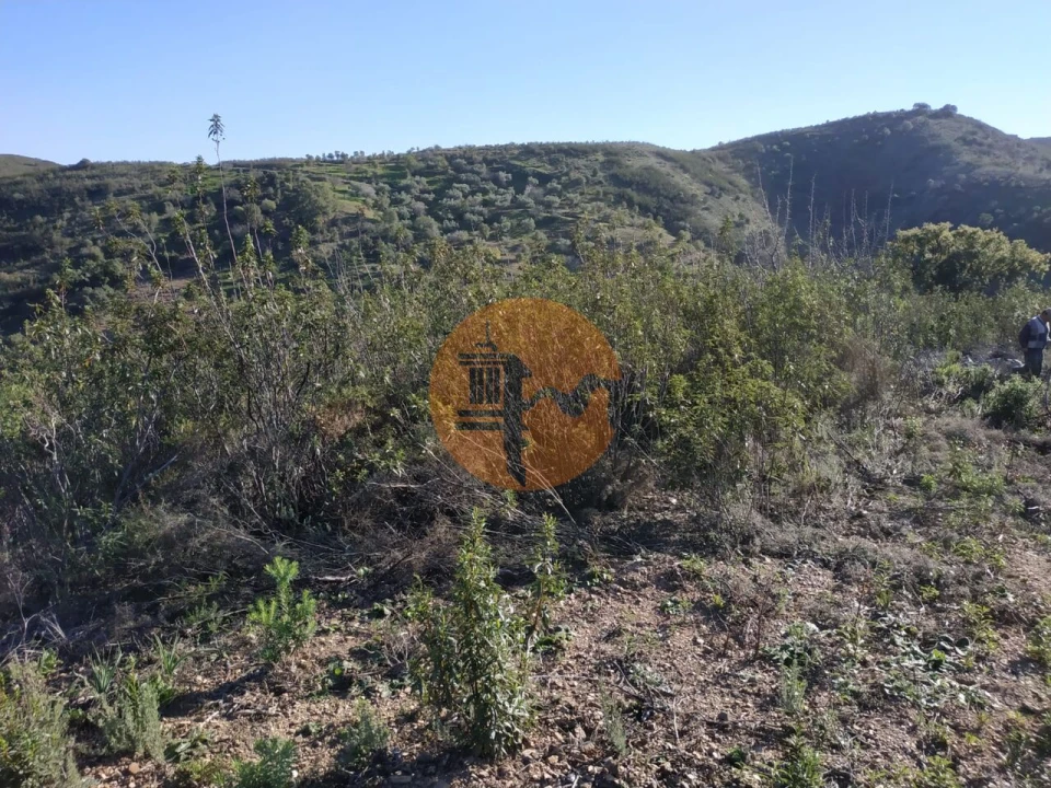 Terreno para Venda em Azinhal Foto 58
