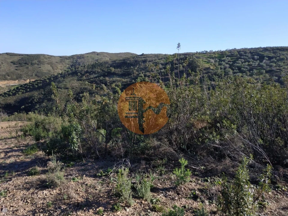 Terreno para Venda em Azinhal Foto 59