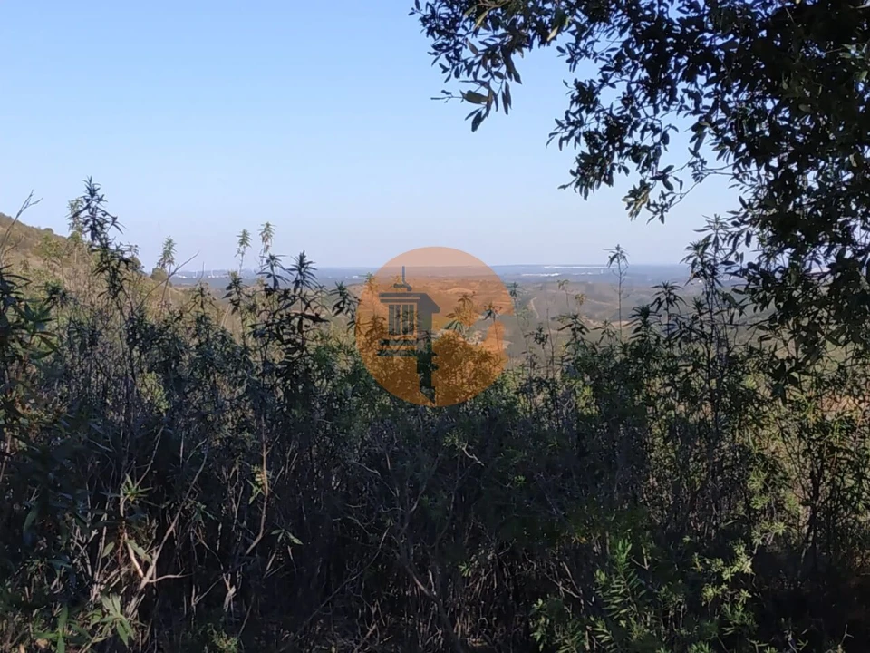 Terreno para Venda em Azinhal Foto 60