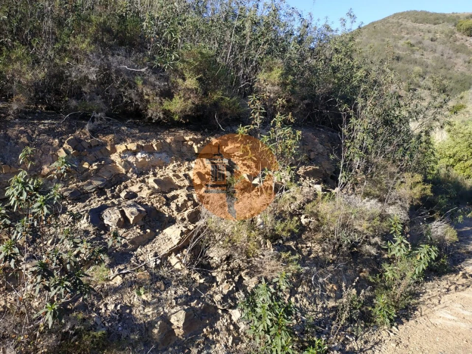 Terreno para Venda em Azinhal Foto 61