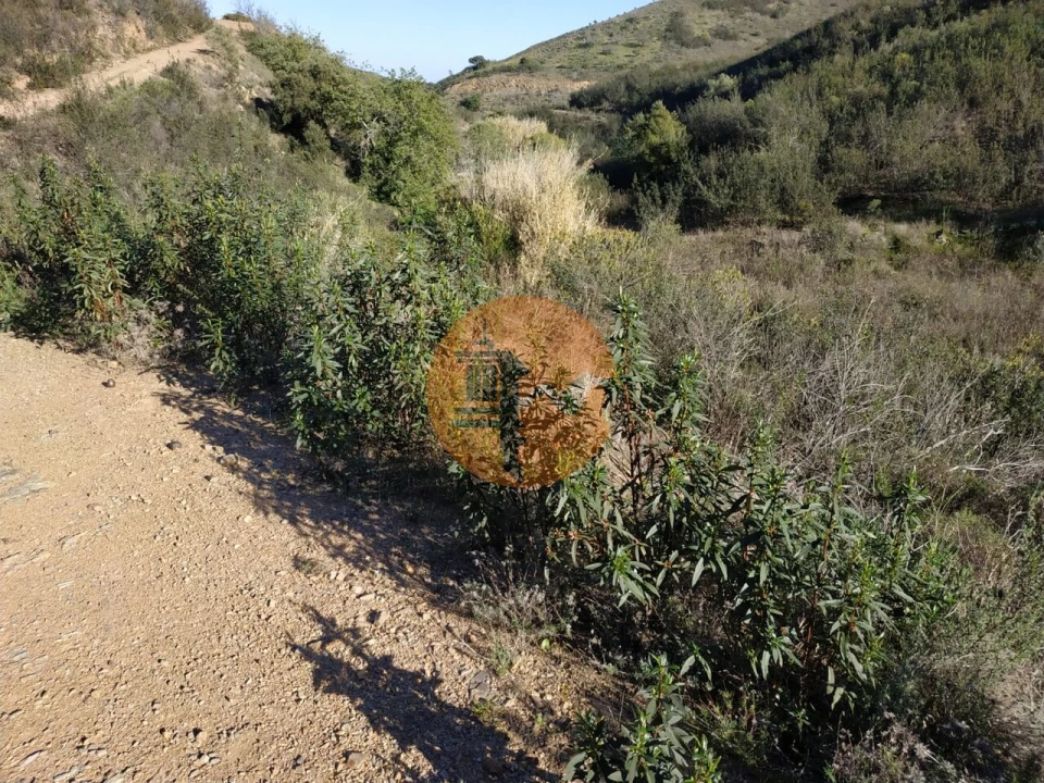 Terreno para Venda em Azinhal Foto 62