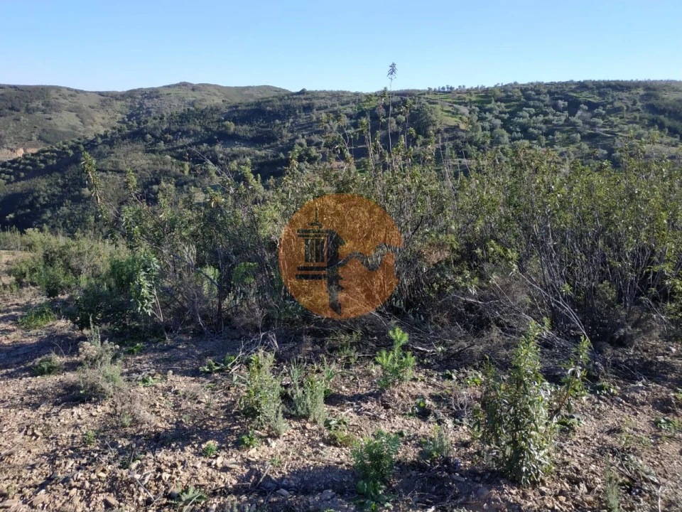 Terreno para Venda em Azinhal Foto 64