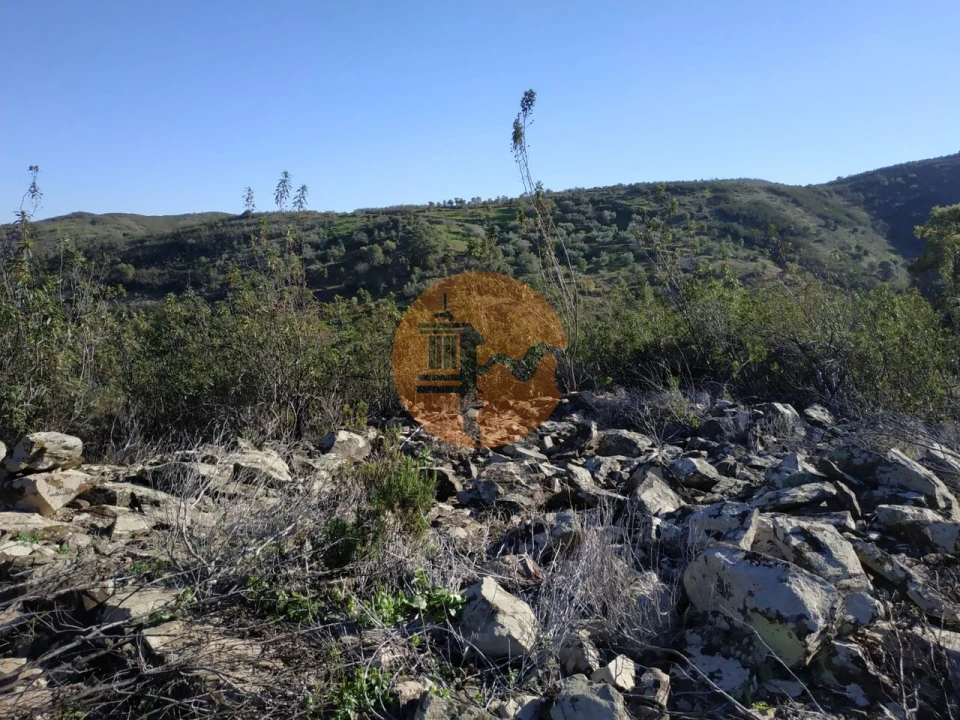 Terreno para Venda em Azinhal Foto 67