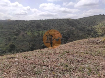 Terreno para Venda em Azinhal