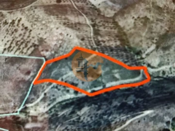 Terreno para Venda em Azinhal