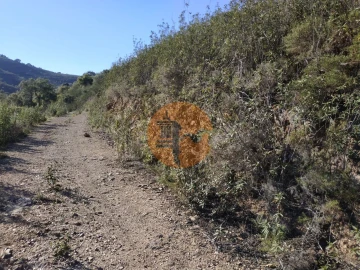 Terreno para Venda em Azinhal