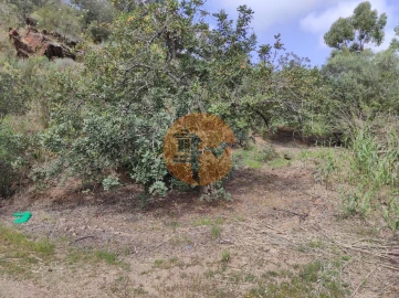 Terreno para Venda em Azinhal