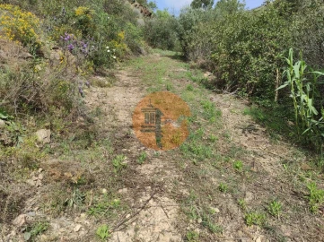 Terreno para Venda em Azinhal