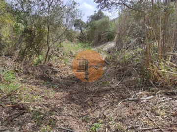 Terreno para Venda em Azinhal