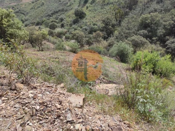 Terreno para Venda em Azinhal