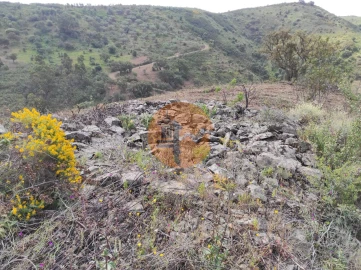 Terreno para Venda em Azinhal