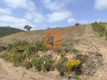 Terreno para Venda em Azinhal