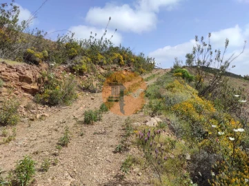 Terreno para Venda em Azinhal