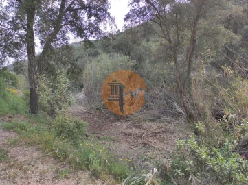 Terreno para Venda em Azinhal