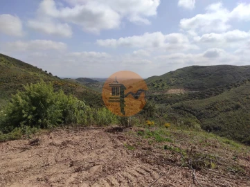 Terreno para Venda em Azinhal