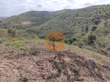 Terreno para Venda em Azinhal