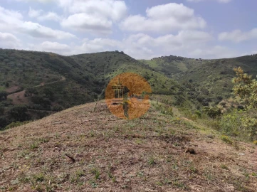 Terreno para Venda em Azinhal