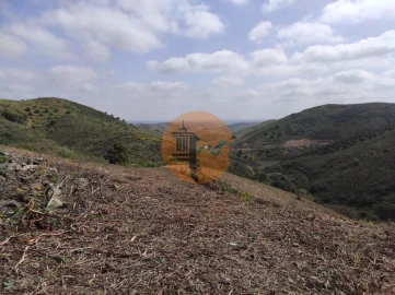 Terreno para Venda em Azinhal