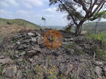 Terreno para Venda em Azinhal