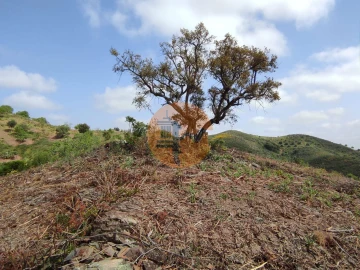 Terreno para Venda em Azinhal