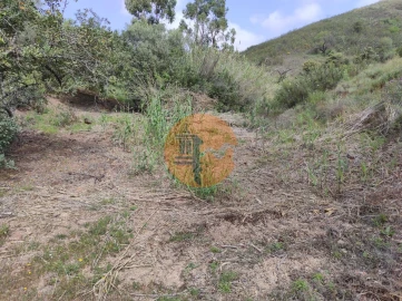 Terreno para Venda em Azinhal