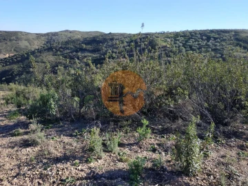 Terreno para Venda em Azinhal