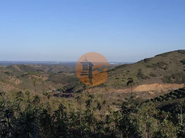Terreno para Venda em Azinhal
