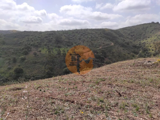 Terreno para Venda em Azinhal Foto 3