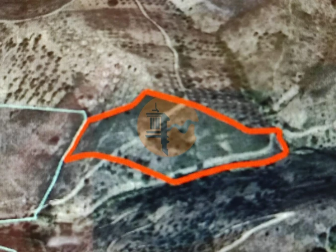 Terreno para Venda em Azinhal Foto 5