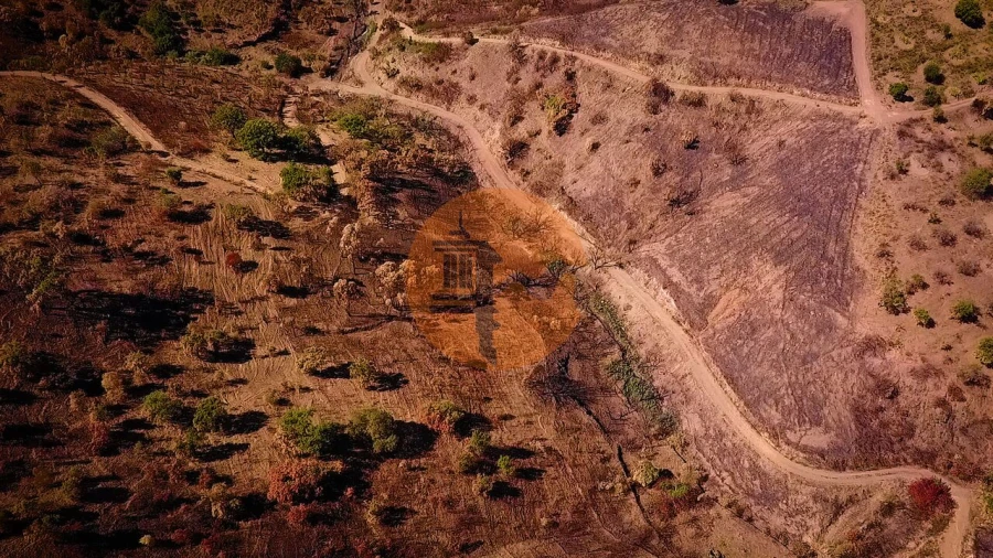 Terreno para Venda em Azinhal Foto 14