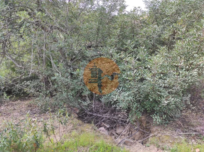 Terreno para Venda em Azinhal Foto 18